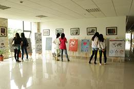 澳洲幸运10开奖