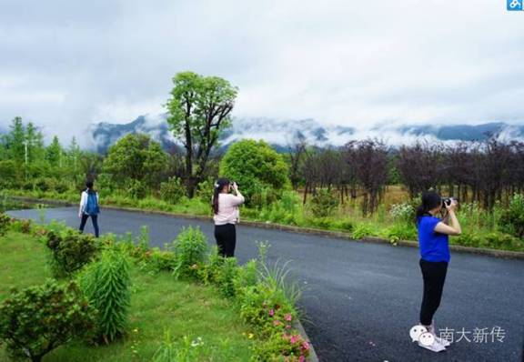 澳洲幸运10开奖