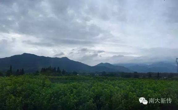 澳洲幸运10开奖